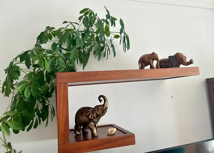 Gatu Premium Isabel Terraza,parking,1ºlinea Playa,wifi,vista Al Mar